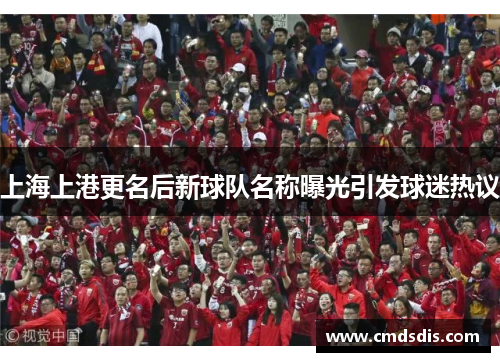 上海上港更名后新球队名称曝光引发球迷热议