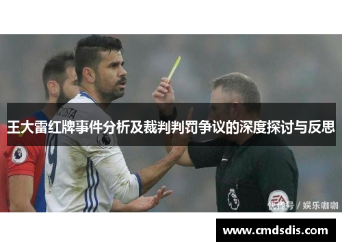 王大雷红牌事件分析及裁判判罚争议的深度探讨与反思