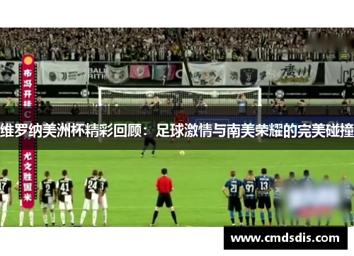 维罗纳美洲杯精彩回顾：足球激情与南美荣耀的完美碰撞
