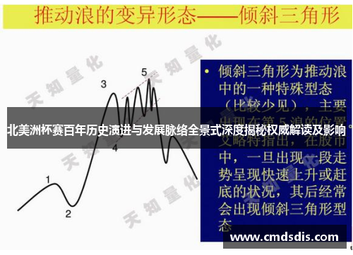 北美洲杯赛百年历史演进与发展脉络全景式深度揭秘权威解读及影响