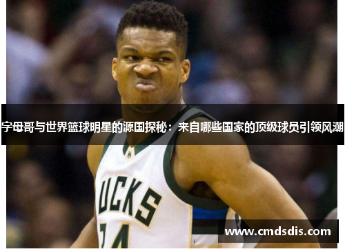 字母哥与世界篮球明星的源国探秘：来自哪些国家的顶级球员引领风潮