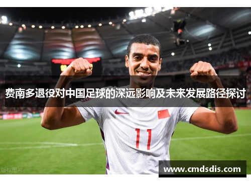 费南多退役对中国足球的深远影响及未来发展路径探讨