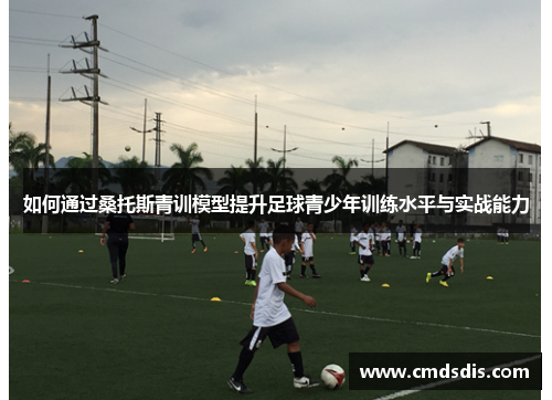 如何通过桑托斯青训模型提升足球青少年训练水平与实战能力